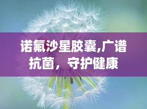 诺氟沙星胶囊,广谱抗菌，守护健康