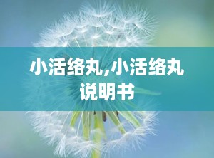 小活络丸,小活络丸说明书