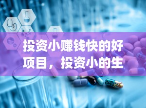 投资小赚钱快的好项目，投资小的生意赚钱项目