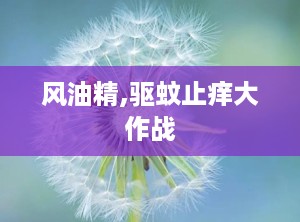 风油精,驱蚊止痒大作战