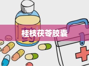 桂枝茯苓胶囊