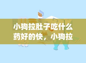 小狗拉肚子吃什么药好的快，小狗拉肚子吃什么药最见效