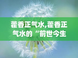 藿香正气水,藿香正气水的“前世今生”