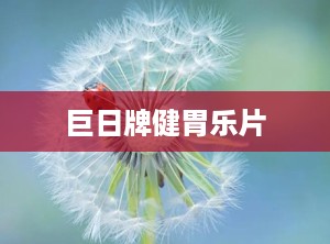 巨日牌健胃乐片