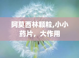 阿莫西林颗粒,小小药片，大作用