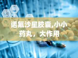 诺氟沙星胶囊,小小药丸，大作用