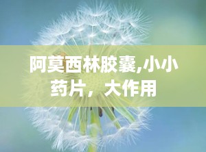 阿莫西林胶囊,小小药片，大作用
