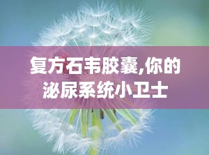 复方石韦胶囊,你的泌尿系统小卫士