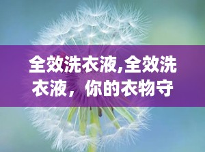 全效洗衣液,全效洗衣液，你的衣物守护神