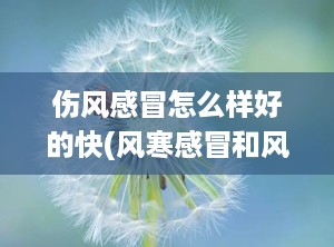 伤风感冒怎么样好的快(风寒感冒和风热感冒的区别和症状)