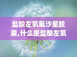盐酸左氧氟沙星胶囊,什么是盐酸左氧氟沙星胶囊？