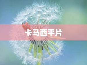 卡马西平片