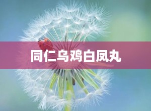 同仁乌鸡白凤丸