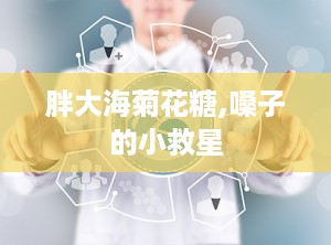 胖大海菊花糖,嗓子的小救星