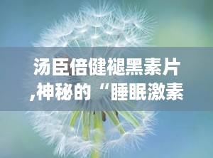 汤臣倍健褪黑素片,神秘的“睡眠激素”