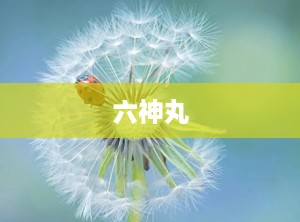 六神丸