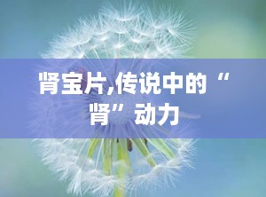 肾宝片,传说中的“肾”动力