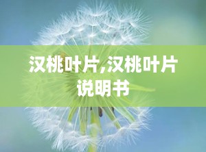 汉桃叶片,汉桃叶片说明书