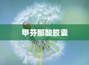 甲芬那酸胶囊