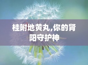 桂附地黄丸,你的肾阳守护神