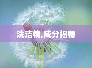 洗洁精,成分揭秘