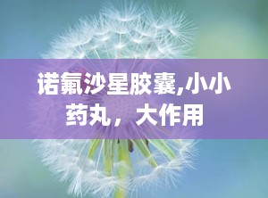诺氟沙星胶囊,小小药丸，大作用