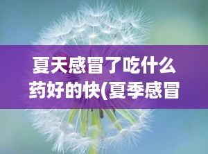 夏天感冒了吃什么药好的快(夏季感冒药五大常用药)