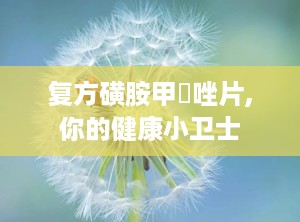 复方磺胺甲噁唑片,你的健康小卫士
