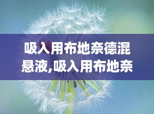 吸入用布地奈德混悬液,吸入用布地奈德混悬液说明书