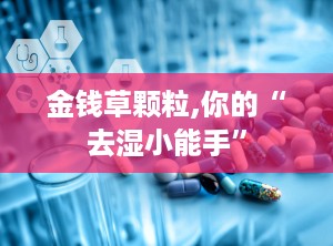 金钱草颗粒,你的“去湿小能手”