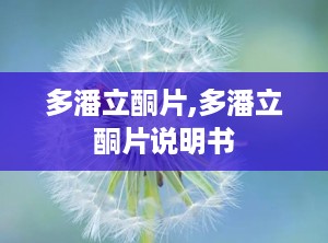 多潘立酮片,多潘立酮片说明书