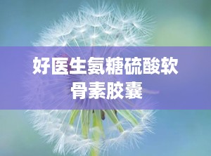 好医生氨糖硫酸软骨素胶囊