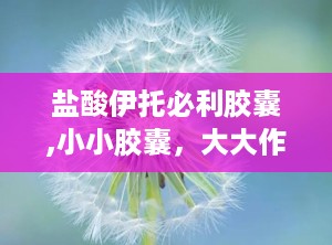 盐酸伊托必利胶囊,小小胶囊，大大作用