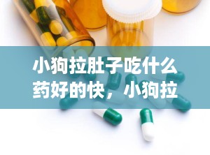 小狗拉肚子吃什么药好的快，小狗拉肚子吃什么药