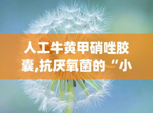 人工牛黄甲硝唑胶囊,抗厌氧菌的“小卫士”