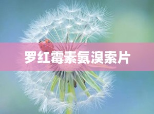 罗红霉素氨溴索片