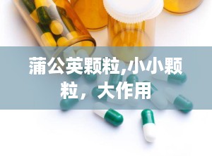 蒲公英颗粒,小小颗粒，大作用