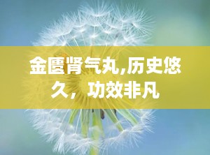 金匮肾气丸,历史悠久，功效非凡