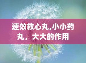 速效救心丸,小小药丸，大大的作用