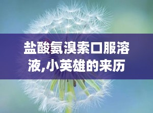 盐酸氨溴索口服溶液,小英雄的来历