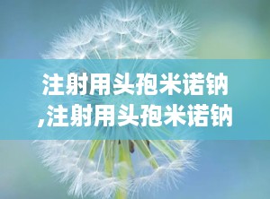 注射用头孢米诺钠,注射用头孢米诺钠说明书