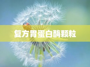 复方胃蛋白酶颗粒