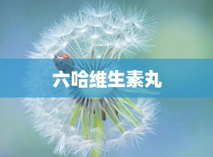 六哈维生素丸