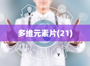 多维元素片(21)
