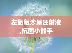 左氧氟沙星注射液,抗菌小能手