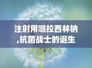 注射用哌拉西林钠,抗菌战士的诞生