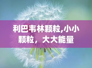 利巴韦林颗粒,小小颗粒，大大能量