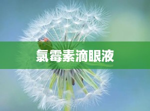 氯霉素滴眼液