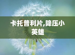 卡托普利片,降压小英雄