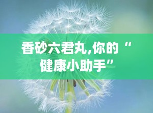 香砂六君丸,你的“健康小助手”